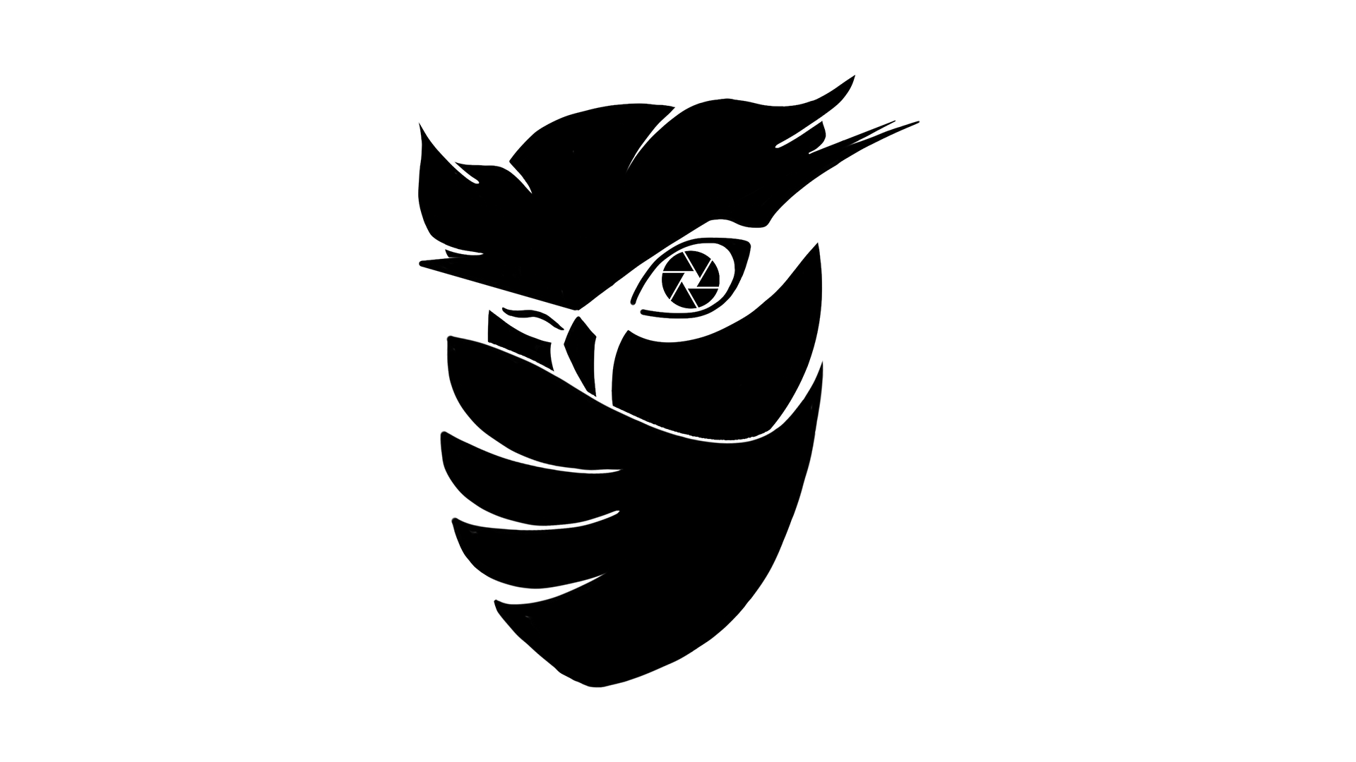 Owlview Production
